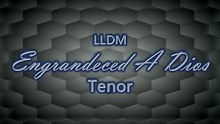 Engrandeced A Dios  Tenor  LLDM [upl. by Atelra422]