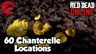 Chanterelle Locations rdr2 Online  Red Dead Online Chanterelles Location Guide [upl. by Keri908]