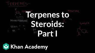 From terpenes to steroids part 1 Terpenes  Endocrine system physiology  NCLEXRN  Khan Academy [upl. by Paff939]