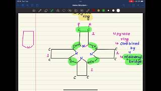 21 PORPHYRIN 🌼 Complete Concept HAEMATOLOGY BIOCHEMISTRY 🌸 [upl. by Ijnek507]