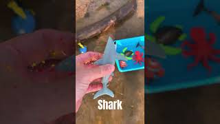 Clownfish Shark and Orca Toys [upl. by Cimah106]