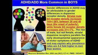 ADDADHD and Low Dopamine  An MTHFR Problem [upl. by Esor]