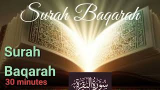 SURAH BAQARAH Full 30 minutes beautiful recitation surahbaqarah albaqarah khairwabarkat [upl. by Neirrad]