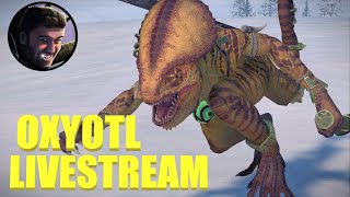 Oxyotl Campaign Livestream [upl. by Teerprug775]