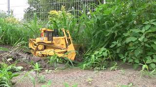 CAT D10 clearing land in the forest [upl. by Lilybelle]