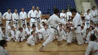 Masao Kawasoe Sensei Seminar 2012 [upl. by Langbehn]