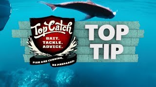 Top Catch Top Tip Episode 11  Soft Baiting the Shallows [upl. by Aeneus]