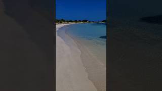 nature aruba youtubeshorts viralvideo 🇦🇼🌺💙 [upl. by Erdnoid766]