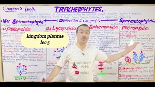 TracheophytesfullLecture5 seedless vascular plants subdivisions Non spermatophytes in Urdu Hindi [upl. by Asylla832]