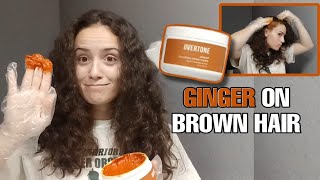 I DYED MY HAIR GINGER  oVertone on my brown hair  2023 Goals EP 2  Issy Pita [upl. by Novaelc]