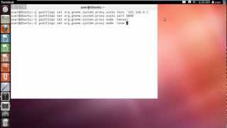 How to Set Proxy in Ubuntu [upl. by Hsenid299]