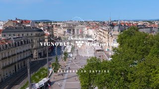 Montpellier et son terroir une histoire damour [upl. by Asin275]