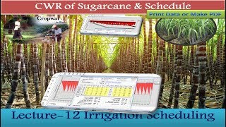 CropWAT 80 CWR of Sugarcane irrigation Scheduling amp Print 12 [upl. by Mannie]