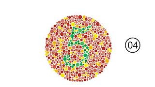 Color Blindness Test [upl. by Kolnos832]