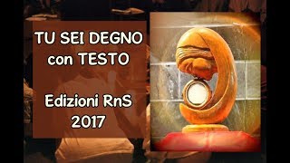 TU SEI DEGNO con sottotitoli edizioni RnS 2017 [upl. by Holladay]