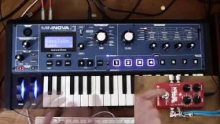 Novation Mininova  Reverb TC Eletronic Hall Of Fame [upl. by Faustina]