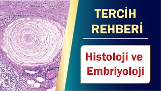 TUS TERCİH REHBERİ I Histoloji ve Embriyoloji [upl. by Iphigeniah]