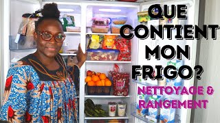 RANGEMENT ET ORGANISATION  LES ASTUCES A SAVOIR POUR BIEN ORGANISER SON FRIGO  NELLYGDEUGOUE [upl. by Notnek]