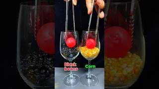 1000°C RHCB vs Black Beans  Corn Oil  Popcorn satisfying experiment science [upl. by Dace]