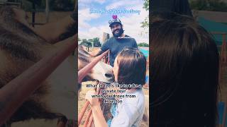 Take a private tour with us sanctuary animals farm love horse donkey rescue animalfamily [upl. by Jerrilee]