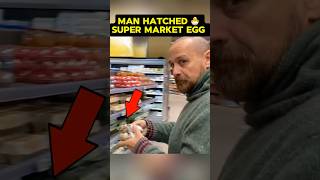 A Man Hatched A Supermarket Egg And Found Something 💔shorts [upl. by Romelda]