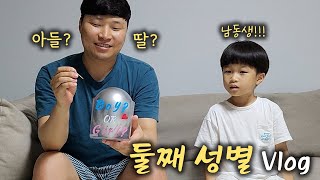 ENG 둘째 성별 공개👶🎈젠더리빌 풍선 이벤트ㅣ지옥에서 온 병아리 오므라이스🐥ㅣ초음파 사진 앨범 정리ㅣ임신 초기🤰 12주14주차 [upl. by Ier601]