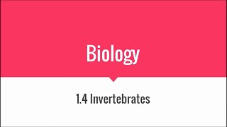 14 InvertebratesquotIGCSE Biologyquot [upl. by Teri]