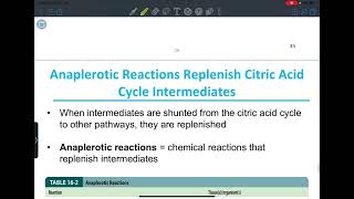 Lecture 4 Electron transport chain [upl. by Earised867]