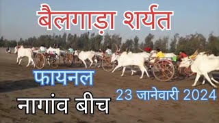 🔥 बैलगाडा शर्यत फायनल नागांव बीच  23 जानेवारी 2024  🔥nagav fainal [upl. by Fanechka]