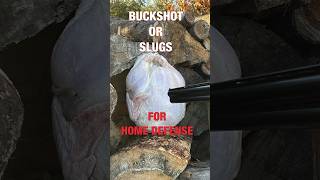 12 Gauge for Home Defense Buckshot or Slugs [upl. by Enninaej]