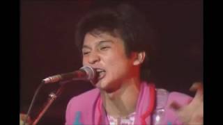 THE ROOSTERS  Lets Rock  Japanese Version  Live at 名古屋雲竜ホール 19820419 [upl. by Carmencita]