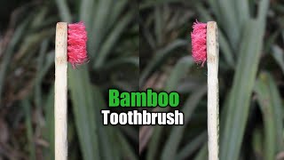 How to make toothbrush from bamboo  bamboo crafts Shorts [upl. by O'Grady]