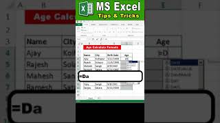 shorts Excel Age Calculation Formula  excel tutoring ytshorts excel [upl. by Tiduj]