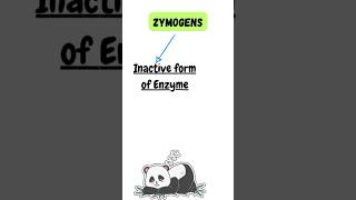 Zymogens shorts ytshorts viralshorts youtube zymogens enzymes trending pritiduhanofficial [upl. by Idoj563]