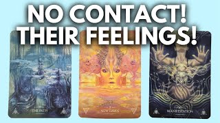 NO CONTACT FEELINGS ACTIONS FUTURE ADVICE PICK A CARD TIMELESS TAROT READING [upl. by Ondine]