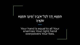 Psalm 21 ZaburTehillim Sephardi Hebrew CantingRecitation with English [upl. by Sheeree287]