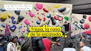 Un gimnasio de escalada en Bogotá [upl. by Duahsar]