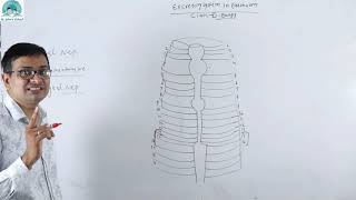 Excretory System in Earthworm l Biology l Class 11 [upl. by Yerocaj]