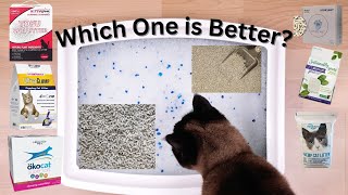 Best Cat Litter For Multiple Cats Extremely Thoroughly Tested [upl. by Eyde]