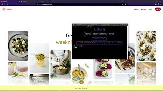 Lava C2Botnet Hitting PINTEREST  Best C2Botnet 2024  INSANE L7 [upl. by Echo]