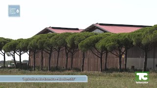 Essere Benessere p 22 agricoltura biodinamica e biodiversità 21092024 [upl. by Nialb354]