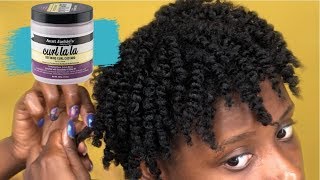 How To Twist Out On Short Natural 4B4C Hair  Curl La La [upl. by Sadie]