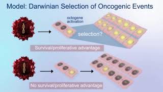 Gene Therapy in Hemophilia Common Concerns in Gene Therapy [upl. by Anetsirhc16]