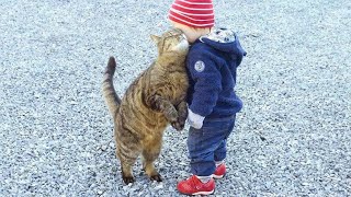 When you are my one and only special friend👶❤️🐱Cute Cats and Human [upl. by Mollee]