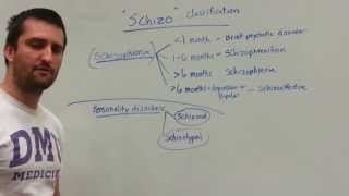 Schizo Classifications Schizophrenia vs Personality Disorders [upl. by Coco]