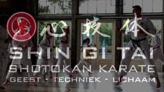 1 jaar Shin Gi Tai karate [upl. by Yenahpets460]