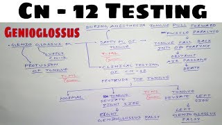 Hypoglossal Nerve Testing  Safety Muscle of Tongue  The Charsi of Medical Literature [upl. by Artema]