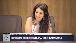 COMISIÓN COMPLETA DERECHOS HUMANOS Y GARANTÍAS  12 de noviembre 2024  Diputados Argentina [upl. by Aggri664]