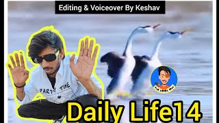 Tarbuj Kheera Kakdi amp A comedy song  Daily Life Part 14  Sab LOol Hai [upl. by Ahtelat]