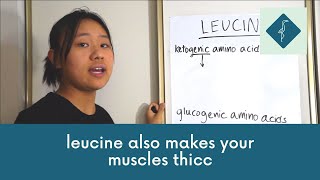 Leucine ft Ketogenic and Glucogenic Amino Acids [upl. by Ahseiyn]